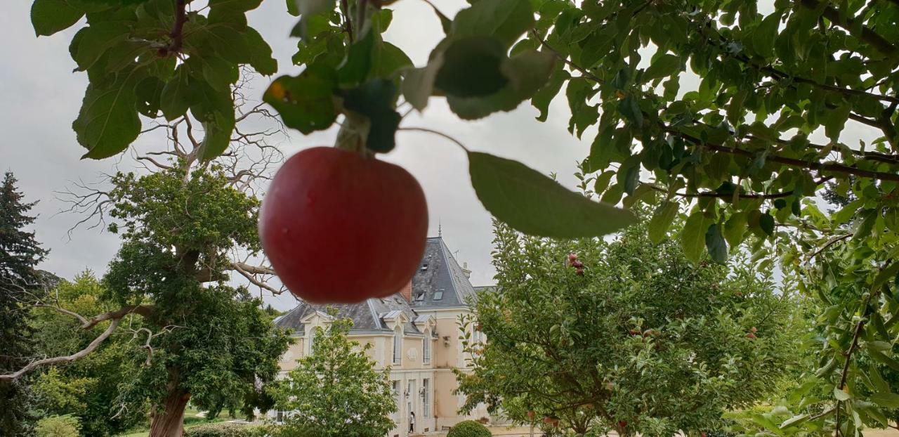 Chateau D'Ardree Saint-Antoine-du-Rocher Exteriör bild